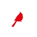 Northern cardinal, Red Cardinal bird. Redbird Christmas symbol