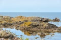 The northern coast of Bornholm, Danmark, with seagulls in front of the shore