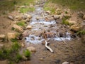 Northern Colorado Estes Park Colorado Rocky Mountain National Park Royalty Free Stock Photo