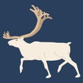 The Northern deer. Blue background