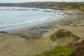 Northern Elephant Seal Mirounga angustirostris on beach in Big Sur along Rt 1 on the Pacific Ocean coast of Big Sur, Monterey Royalty Free Stock Photo