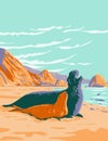 Northern Elephant Seal at Point Reyes National Seashore Marin County California WPA Poster Art