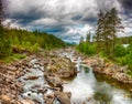 Northern Forest Babbling Brook