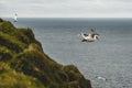 Northern gannet flying over the air currents in Mykines Royalty Free Stock Photo