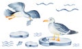 Northern gulls at the North Pole eat fish. Royalty Free Stock Photo