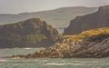 Northern Ireland Antrim Coast Ballintoy Harbour long exposure rocks sunset waves beautiful scenery Royalty Free Stock Photo