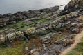 Northern Ireland's Oceanic Cliffs in Captivating Detail. Close up stone and moss, natural details