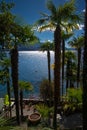 Palmtree garden at the shores of Lake - lago - Maggiore, Italy. Sunny summer day