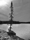 Northern Lake, Haliburton Ontario Canada