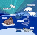 Northern landscape with different polar animals with titles