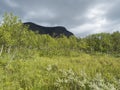 Northern landscape in Swedish Lapland with dark mountain, green hills and birch tree forest at Padjelantaleden hiking