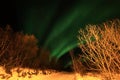 Northern Light above Lofoten's forest Royalty Free Stock Photo