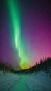 Northern Light illuminating colorful dance night sky, phenomenon Aurora Borealis over a forest road Royalty Free Stock Photo
