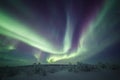 Northern Lights above the small birch trees forest Royalty Free Stock Photo