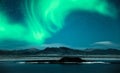 Northern Lights aurora borealis over trees Royalty Free Stock Photo