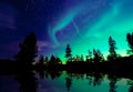 Northern Lights aurora borealis over trees Royalty Free Stock Photo