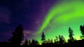 Northern Lights aurora borealis over trees Royalty Free Stock Photo