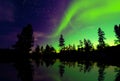 Northern Lights aurora borealis over trees