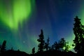 Northern Lights Aurora borealis swirls Yukon taiga Royalty Free Stock Photo