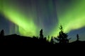 Northern Lights Aurora borealis Yukon spruce taiga Royalty Free Stock Photo