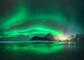 Northern Lights and beach in Lofoten islands, Norway. Aurora Royalty Free Stock Photo