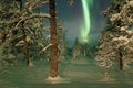 Northern lights Finnish Lapland Royalty Free Stock Photo