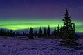 Northern lights on forests of Kluane National Park