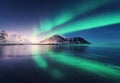 Northern lights in Lofoten islands, Norway. Green Aurora borealis