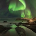 Northern lights in Lofoten islands, Norway. Green Aurora borealis. Starry sky with polar lights. Night winter landscape in night. Royalty Free Stock Photo