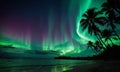 Northern lights in the night sky over a beach with palm trees Royalty Free Stock Photo