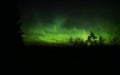 Northern lights over forestscape in the night Royalty Free Stock Photo