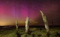 Northern lights over tree remains in Thornham Royalty Free Stock Photo