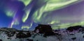 Northern Lights panoramic Arctic scene Royalty Free Stock Photo