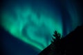 Northern Lights Rising Royalty Free Stock Photo