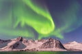 Northern lights, Senja Norway Royalty Free Stock Photo