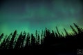 Northern Lights with Trees