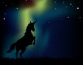 Northern Lights Unicorn