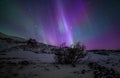 Northern Lights Royalty Free Stock Photo