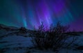 Northern Lights Royalty Free Stock Photo