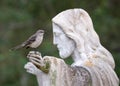 Northern Mockingbird Perched on Jesus Statue