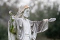 Northern Mockingbird Perched on Jesus Statue