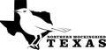 The Northern Mockingbird symbol of Texas Independence Day