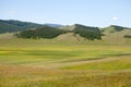 Northern Mongolian Forests and Steppes