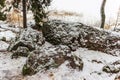 Granite stones on the shore of the bay among the forest. Royalty Free Stock Photo