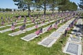 Northern Nevada Veterans Memorial Cemetery