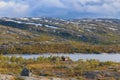 Northern Norway, view on the Norwegian side of the border at Riksgrensen, between Narvik and Abisko