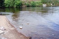 Northern part of Scotland. Natural landscapes of numerous lakes, forests and Scottish mountains.