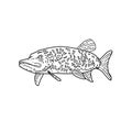 Northern Pike Fish Mono Line Black and White