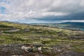 Northern polar summer in the tundra. Hill. Coast of the Arctic Ocean, Barents Sea beach, Russia Royalty Free Stock Photo