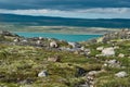 Northern polar summer in the tundra. Hill. Coast of the Arctic Ocean, Barents Sea beach, Russia Royalty Free Stock Photo